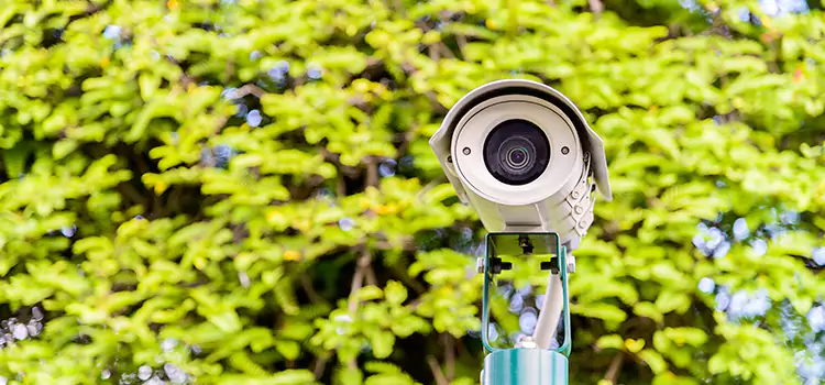 Advanced Surveillance Solutions for Every Need in El Segundo